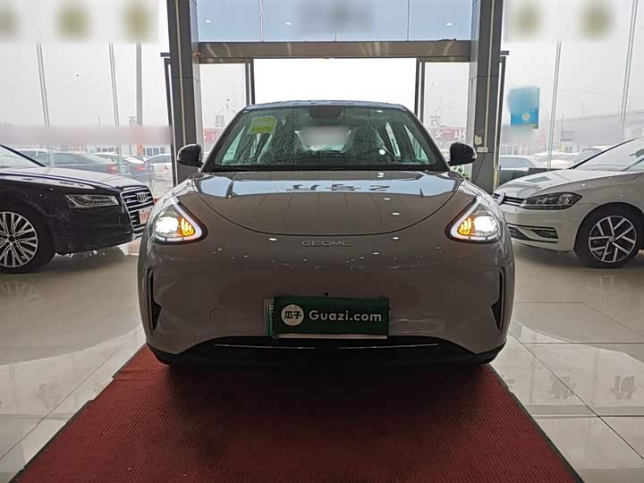Geely Galaxy Geome 2026 2026款 310km 梦想版