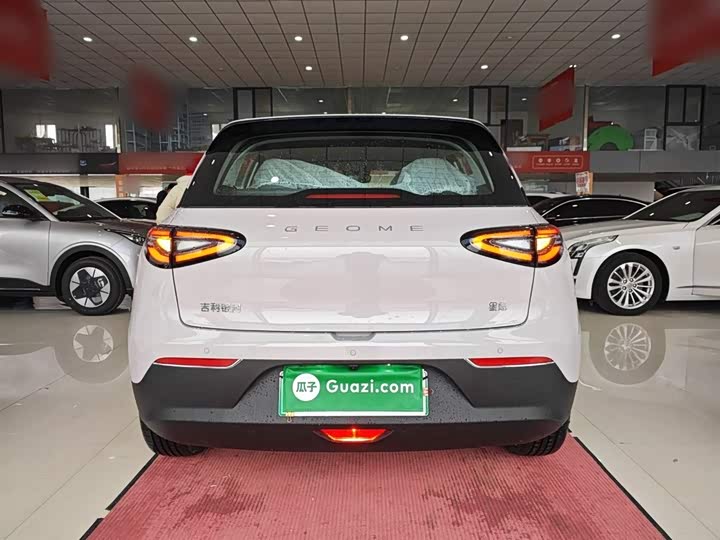 Geely Galaxy Geome 2026 2026款 310km 梦想版