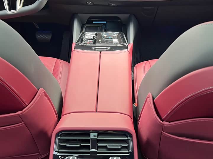 BMW 5 Series 2024 2024款 530Li 尊享型 M运动套装