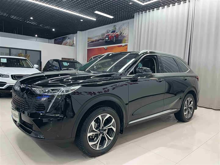 Haval Ruge Max 2023 2023款 1.5L Hi4 105 四驱精英版