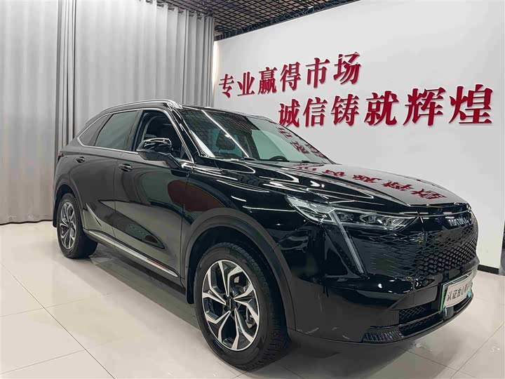 Haval Ruge Max 2023 2023款 1.5L Hi4 105 四驱精英版