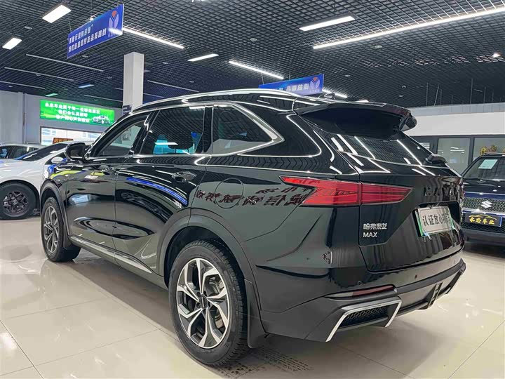 Haval Ruge Max 2023 2023款 1.5L Hi4 105 四驱精英版