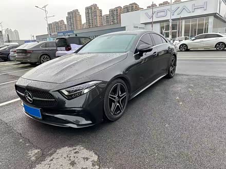 Mercedes-Benz CLS-Class 2023 2023款 CLS 300 动感型
