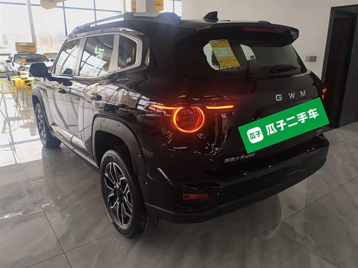 Haval H-Dog Hybrid 2026 2026款 Hi4 105km 潮电版