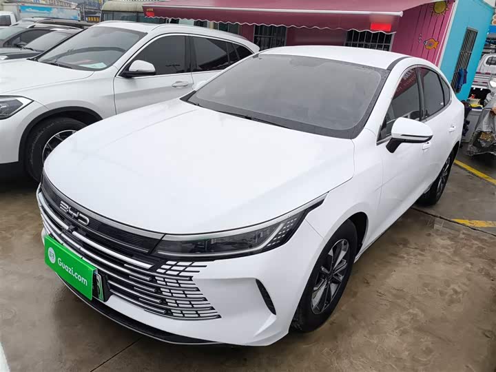 BYD Destroyer 05 2024 2024款 荣耀版 DM-i 55KM 豪华型