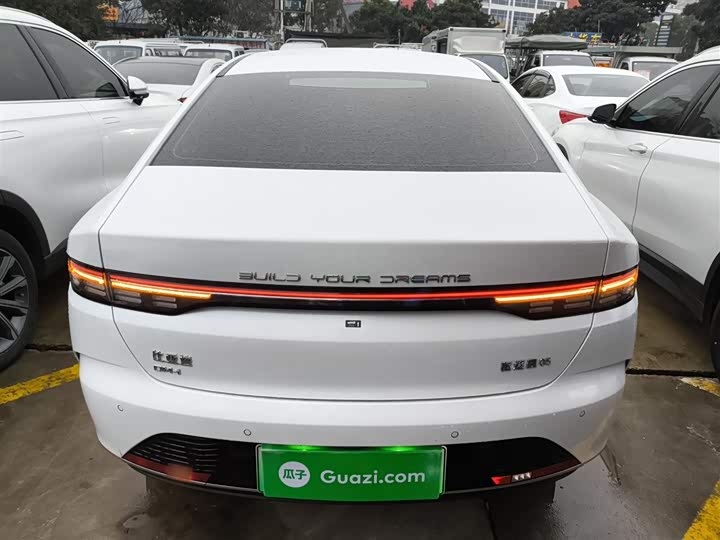 BYD Destroyer 05 2024 2024款 荣耀版 DM-i 55KM 豪华型