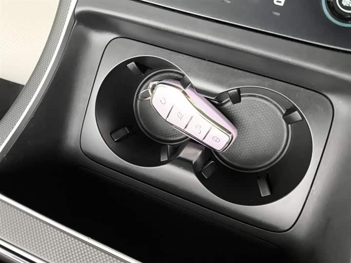 BYD Destroyer 05 2024 2024款 荣耀版 DM-i 55KM 豪华型