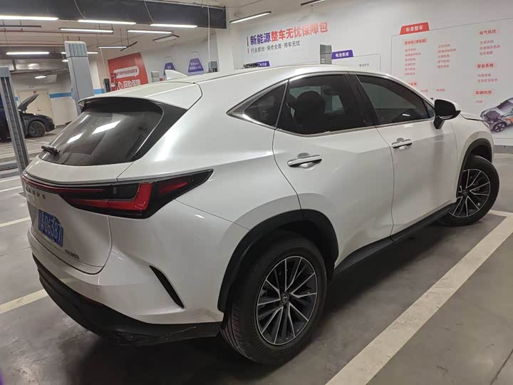 Lexus NX 2024 2024款 350h 前驱 创悦版