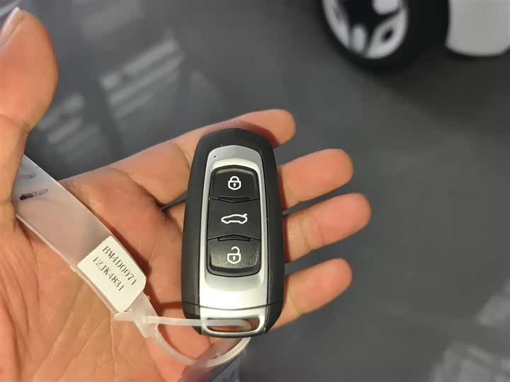 Geely Galaxy Panda Mini 2025 2025款 熊猫mini 210km 元气熊