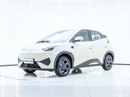 BYD Seagull 2025 2025款 智驾版 405km 飞翔版