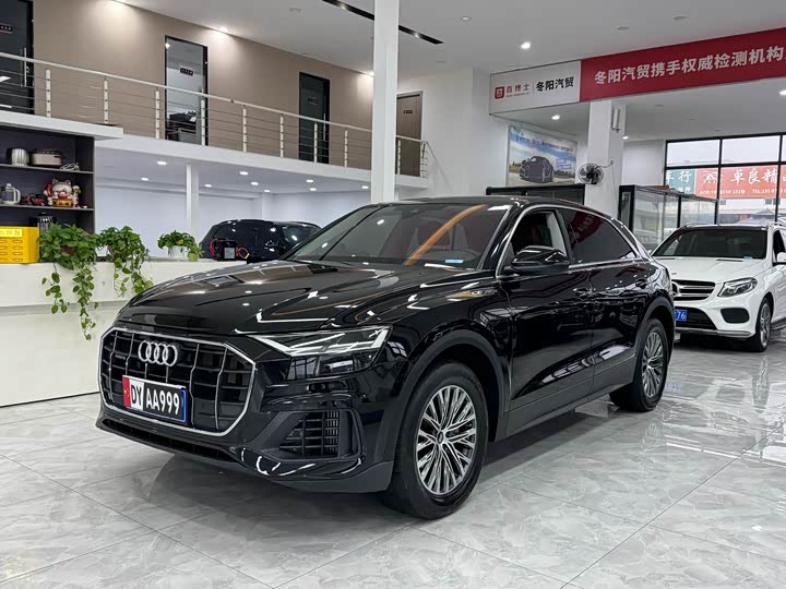 Audi Q8 2023 2023款 55 TFSI 豪华动感型