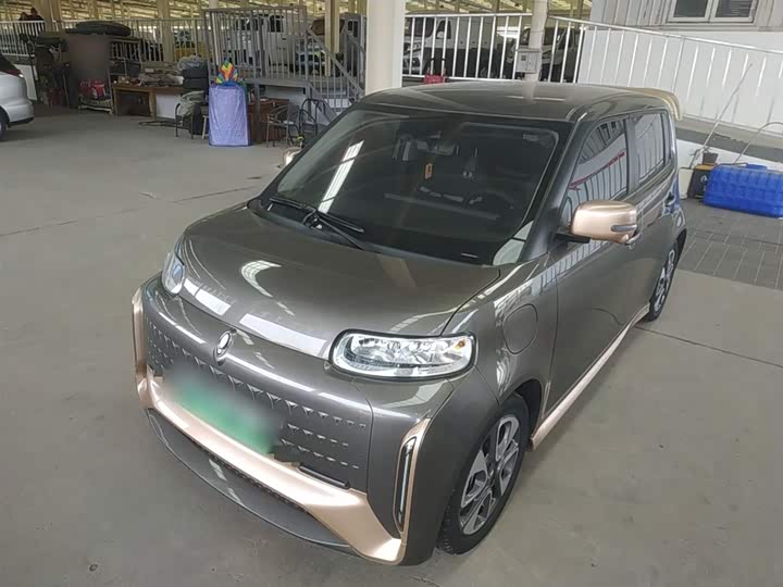 Ora White Cat 2022 2022款 小野猫版 401km 旗舰型 三元锂