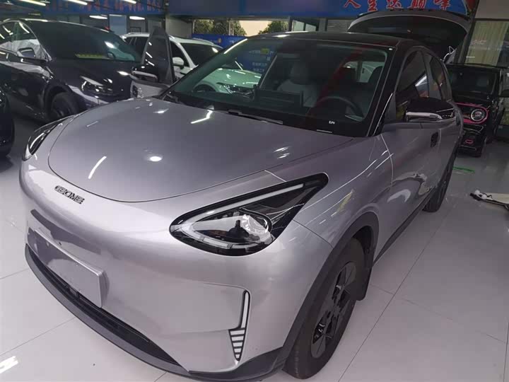 Geely Galaxy Geome 2026 2026款 310km 梦想版