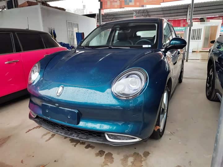 Ora Good Cat (03) 2023 2023款 401km标准续航 豪华型 磷酸铁锂