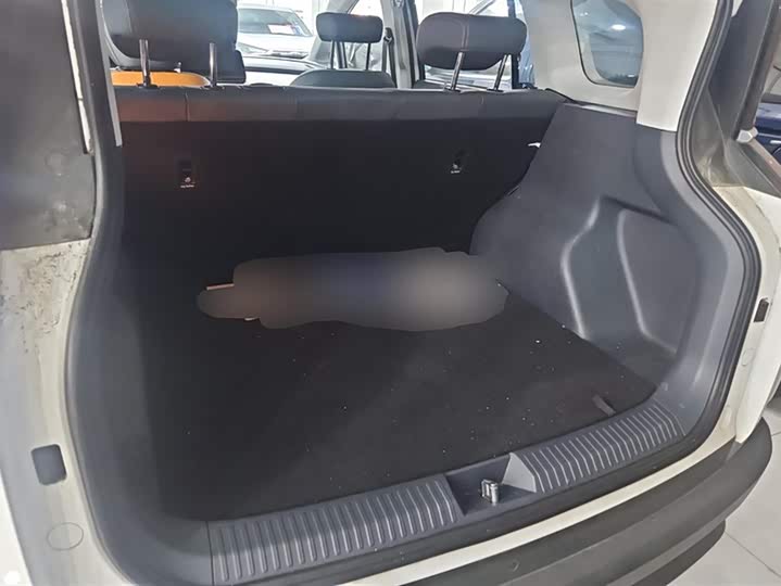 Bestune NAT 2023 2023款 PRO 舒享出行版 419km