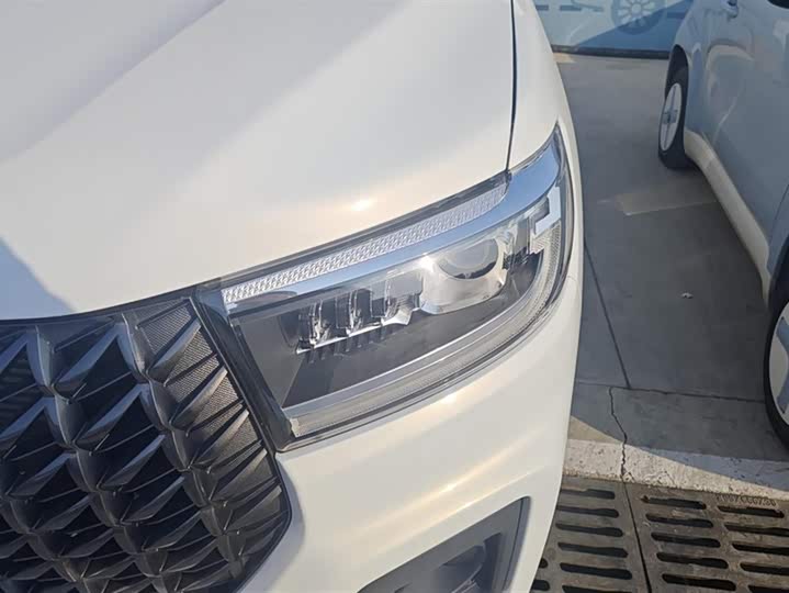 Great Wall Pao 2024 2024款 2.4T商用版自动柴油两驱精英型