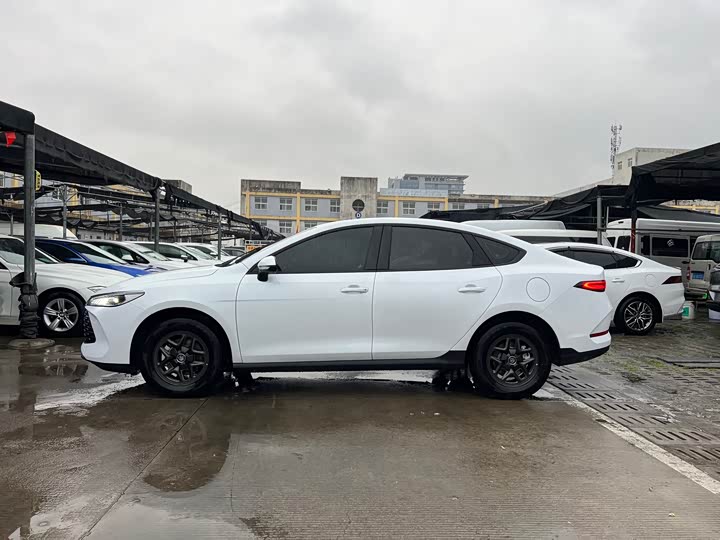 BYD Qin Plus 2026 2026款 DM-i 128KM进取型