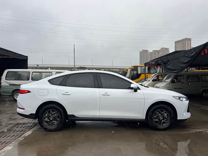 BYD Qin Plus 2026 2026款 DM-i 128KM进取型