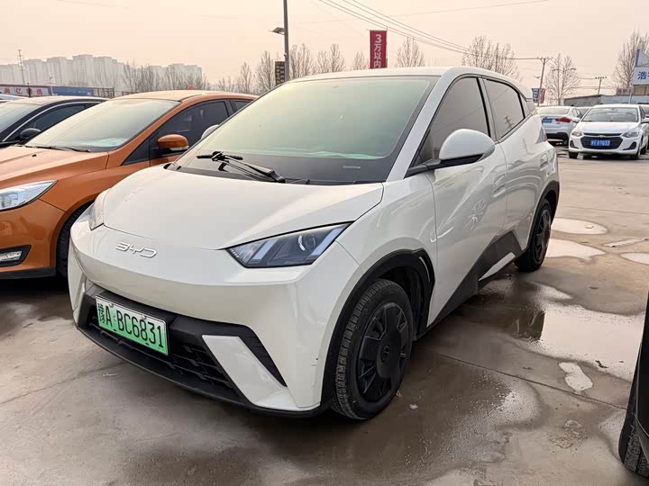 BYD Seagull 2025 2025款 305km 活力版