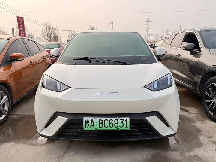 BYD Seagull 2025 2025款 305km 活力版