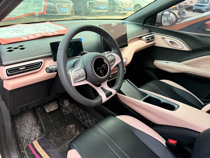 BYD Seagull 2025 2025款 305km 活力版