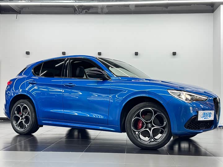 Alfa Romeo Stelvio 2022 2022款 2.0T 280HP Veloce赛道版