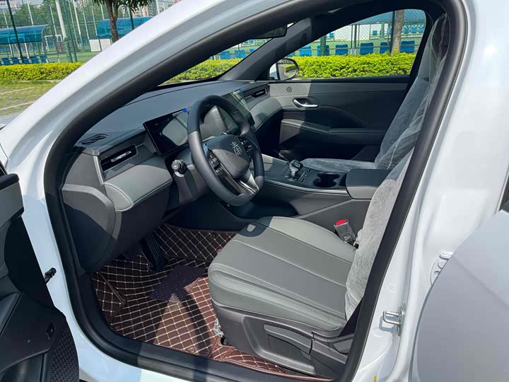 BYD Qin Plus 2025 2025款 DM-i 智驾版 55KM领先型