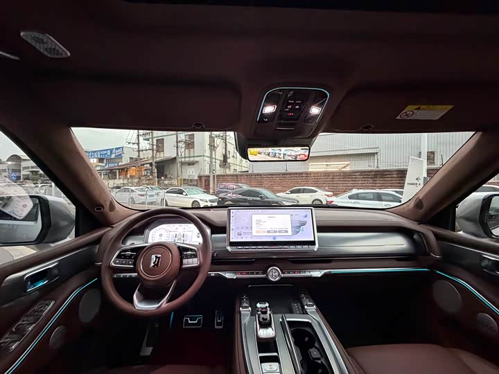 Tank 700 Hybrid 2024 2024款 Hi4-T 极境版