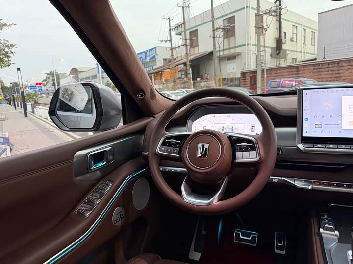 Tank 700 Hybrid 2024 2024款 Hi4-T 极境版