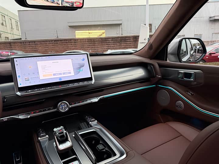 Tank 700 Hybrid 2024 2024款 Hi4-T 极境版