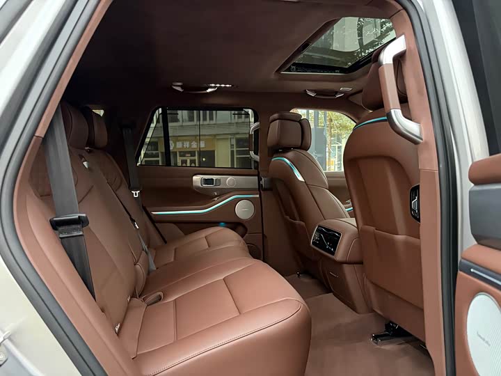 Tank 700 Hybrid 2024 2024款 Hi4-T 极境版