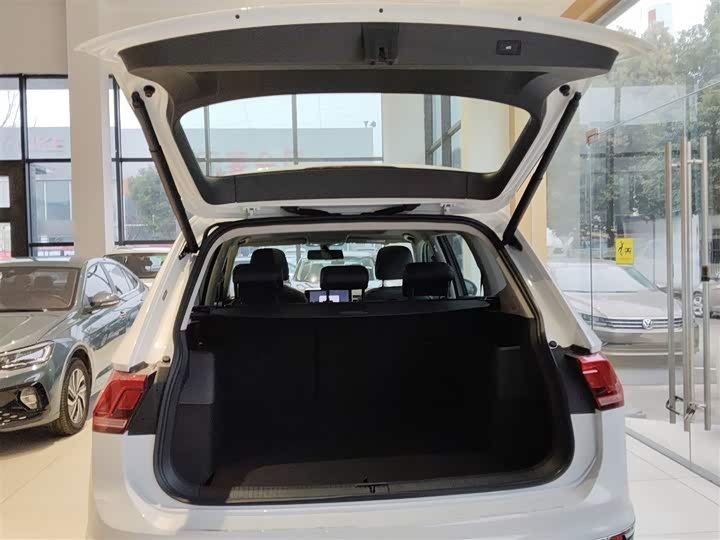 Volkswagen Tiguan L Pro 2025 2025款 出众款 300TSI 自动两驱龙腾版