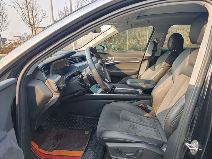 Audi e-tron 2021 2021款 50 quattro 臻选型