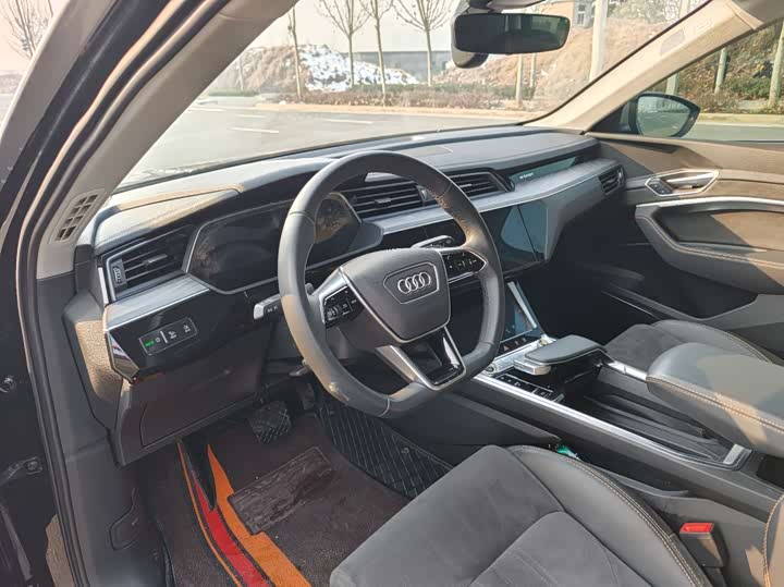 Audi e-tron 2021 2021款 50 quattro 臻选型