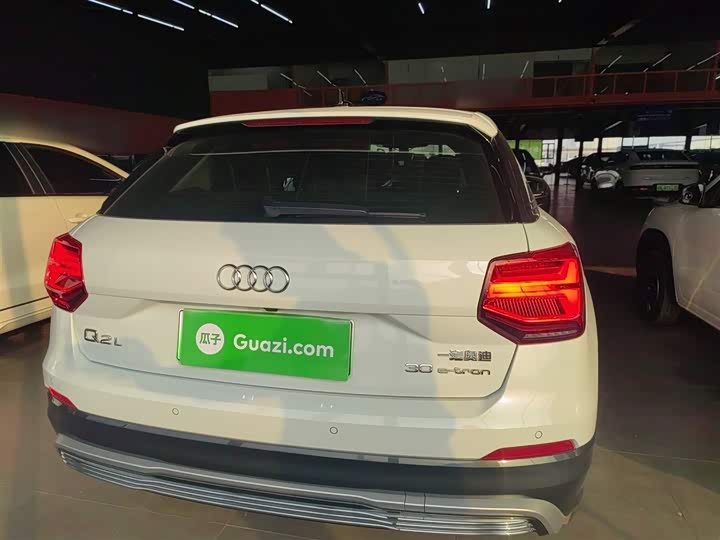 Audi Q2L e-tron 2019 2019款 Q2L e-tron 纯电智酷型