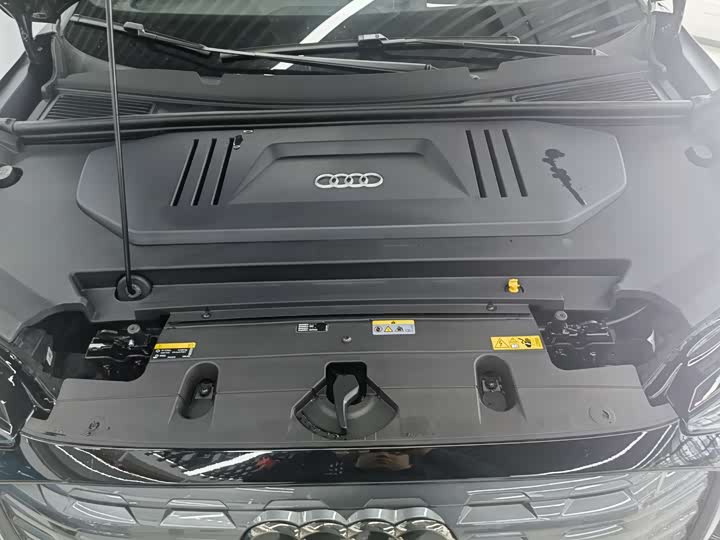 Audi Q5 e-tron 2023 2023款 40 e-tron 闪耀型 机甲套装