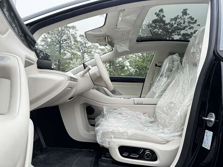 Luxeed R7 2025 2025款 增程 251km Pro