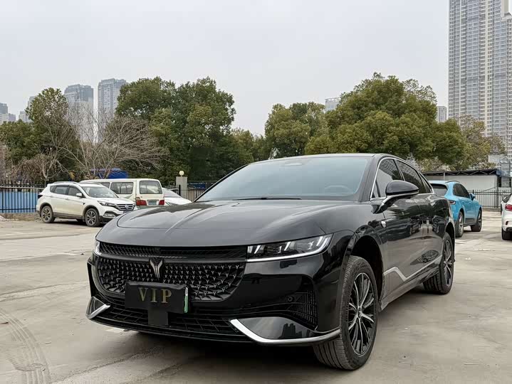 Voyah Passion 2024 2024款 PHEV 四驱超长续航行政版