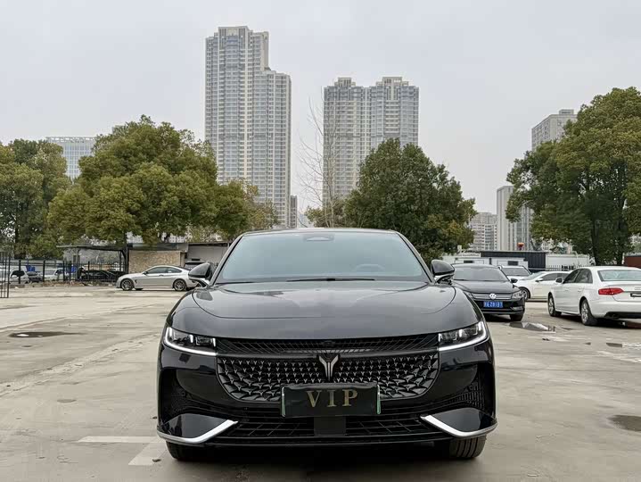 Voyah Passion 2024 2024款 PHEV 四驱超长续航行政版