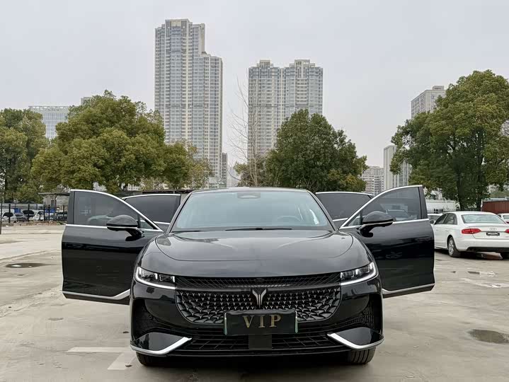 Voyah Passion 2024 2024款 PHEV 四驱超长续航行政版