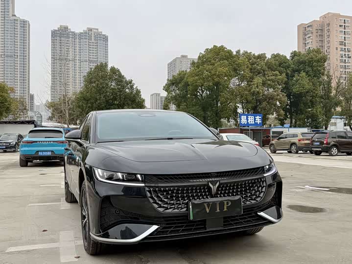 Voyah Passion 2024 2024款 PHEV 四驱超长续航行政版
