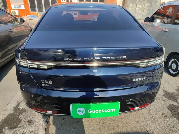 BYD Destroyer 05 2024 2024款 荣耀版 DM-i 55KM 豪华型