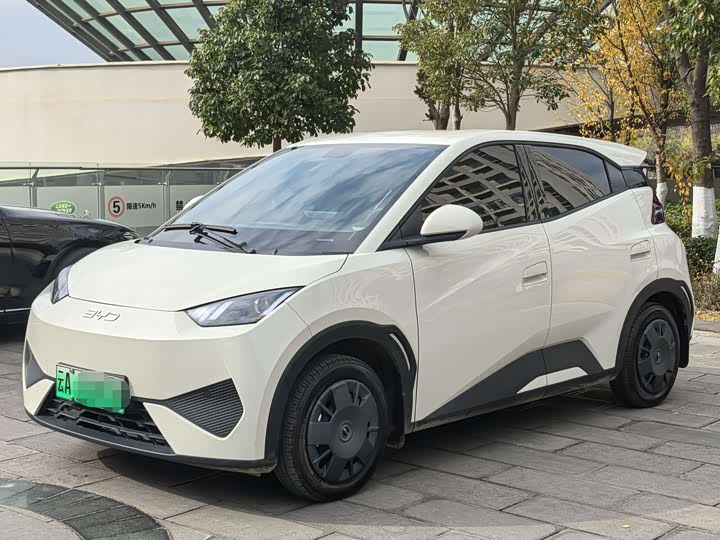 BYD Seagull 2025 2025款 305km 活力版