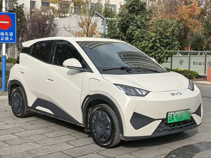 BYD Seagull 2025 2025款 305km 活力版