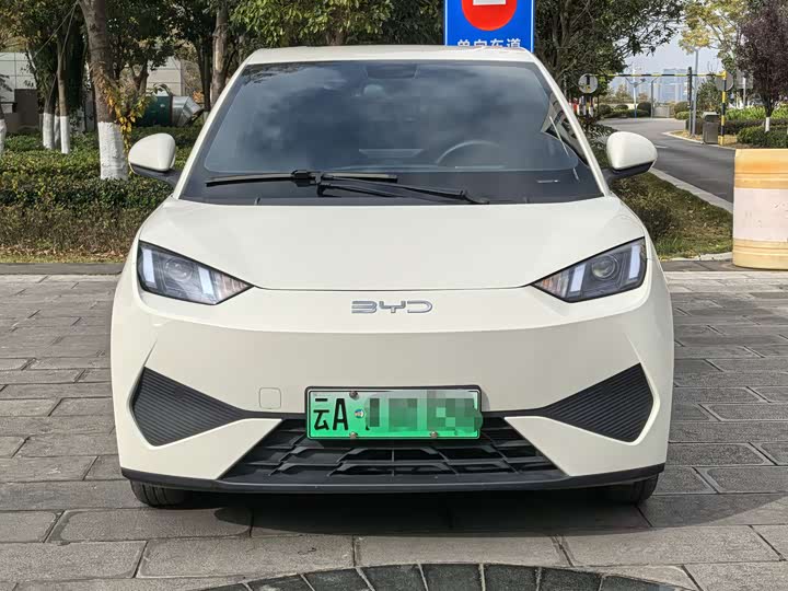 BYD Seagull 2025 2025款 305km 活力版