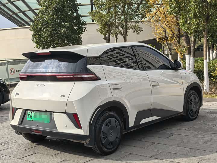 BYD Seagull 2025 2025款 305km 活力版