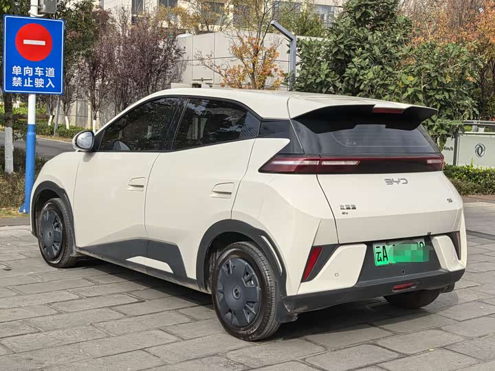 BYD Seagull 2025 2025款 305km 活力版