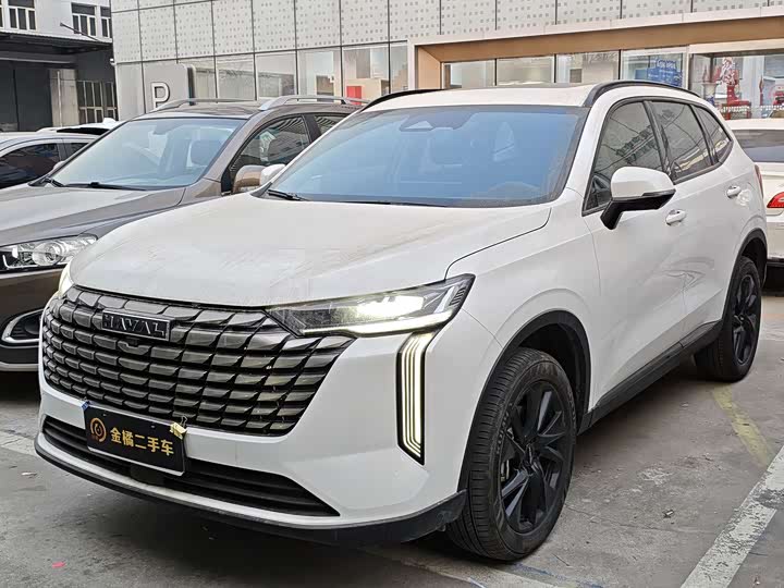 Haval H6 2024 2024款 2.0T 两驱Max