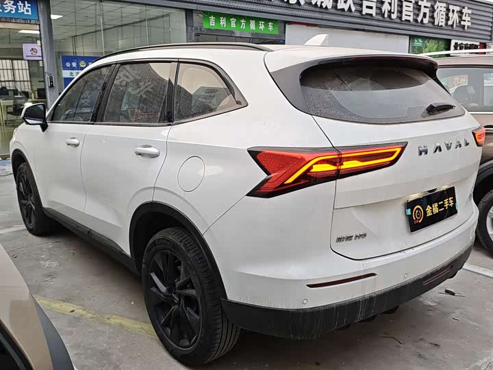 Haval H6 2024 2024款 2.0T 两驱Max