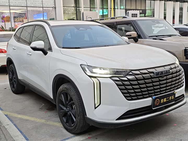Haval H6 2024 2024款 2.0T 两驱Max